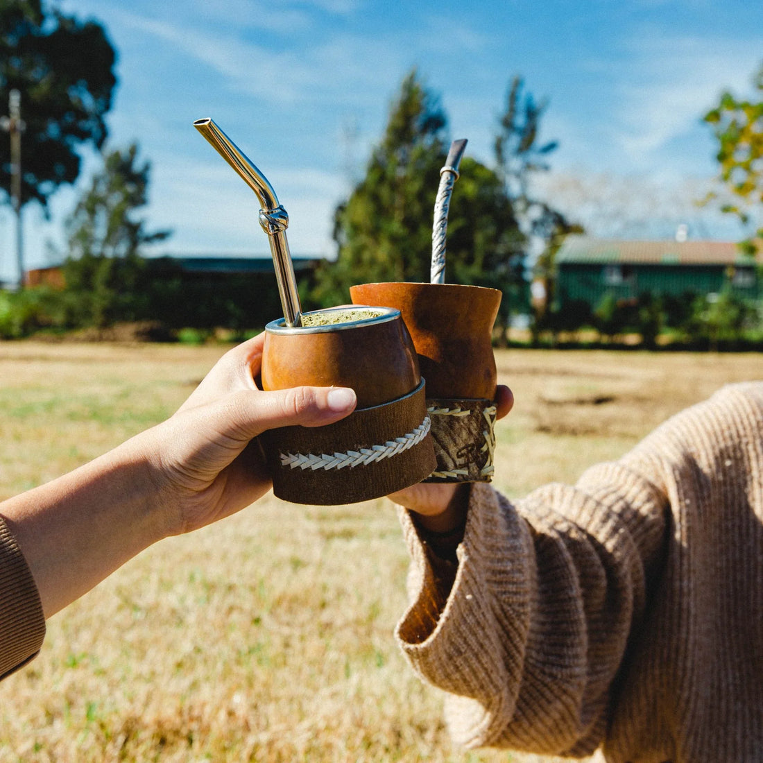 ¿Cómo preparar un mate dulce?